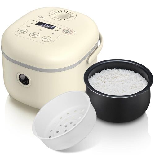 meilleur cuiseur riz mini